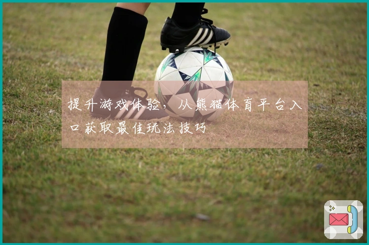 提升游戏体验，从熊猫体育平台入口获取最佳玩法技巧