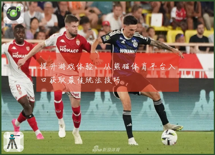 提升游戏体验，从熊猫体育平台入口获取最佳玩法技巧