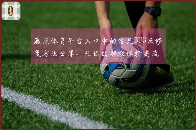 赢点体育平台入口中的常见BUG及修复方法分享，让你的游戏体验更流畅